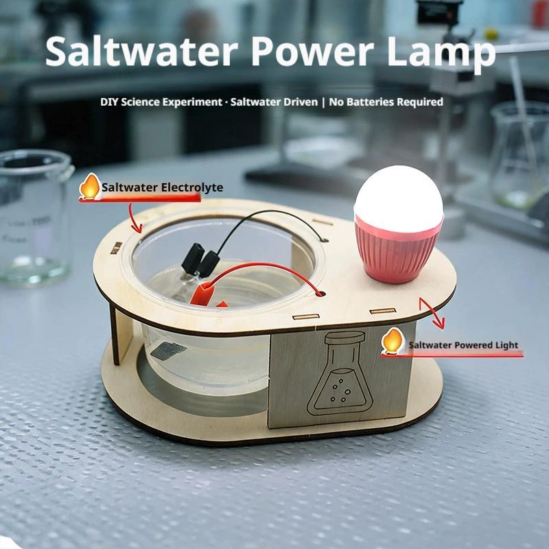 DIY Salt Water Power Generatio - Science Kit recension och pris